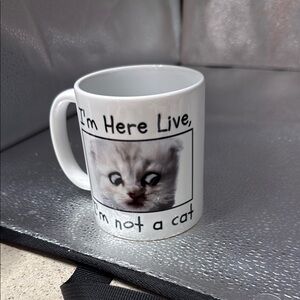 2001 Viral Cat Mug